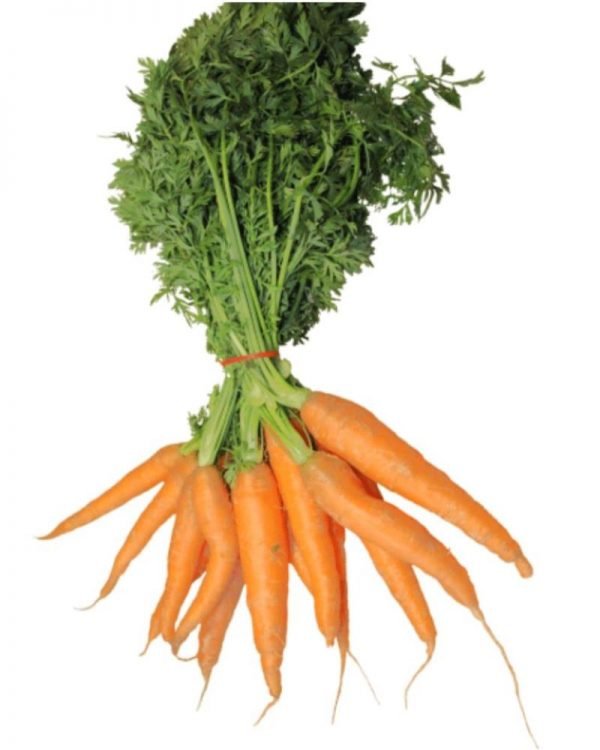 Carrot-Gajar