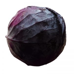 Red-Cabbage