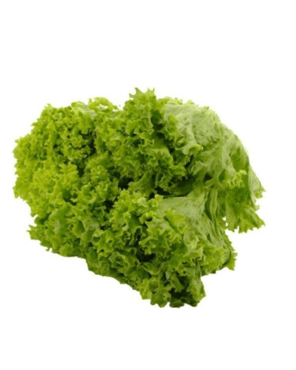 Lettuce-Green