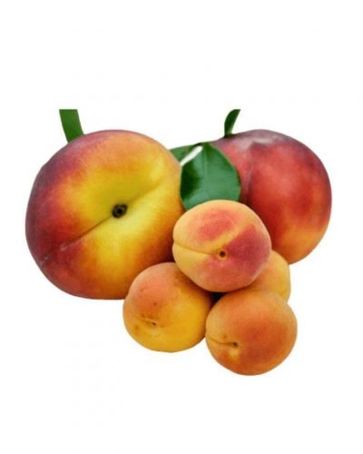 Apricot-ApnaSabji