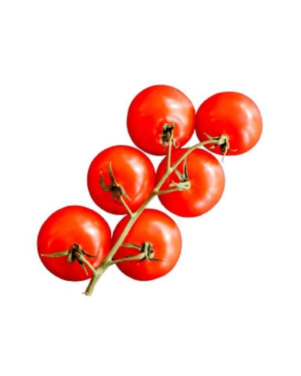 Cherry Tomato-ApnaSabji
