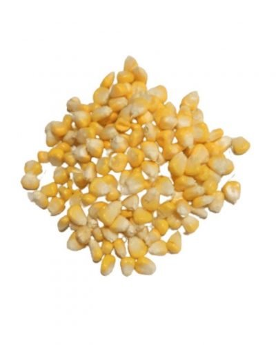 Corn Kernel-ApnaSabji