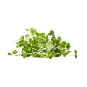 Buy Micro Greens Mustard leaves online