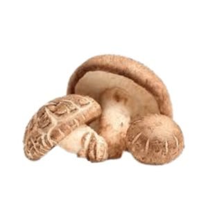 Buy Mushrooms Shiitake online