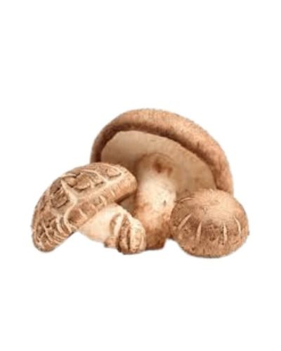 Buy Mushrooms Shiitake online