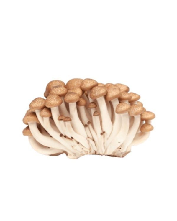 Buy Mushrooms Shimeji Brown online