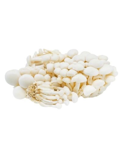Buy Mushrooms Shimeji White online