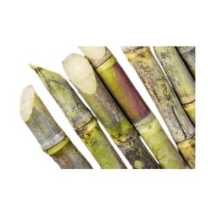 Buy Sugarcane Online